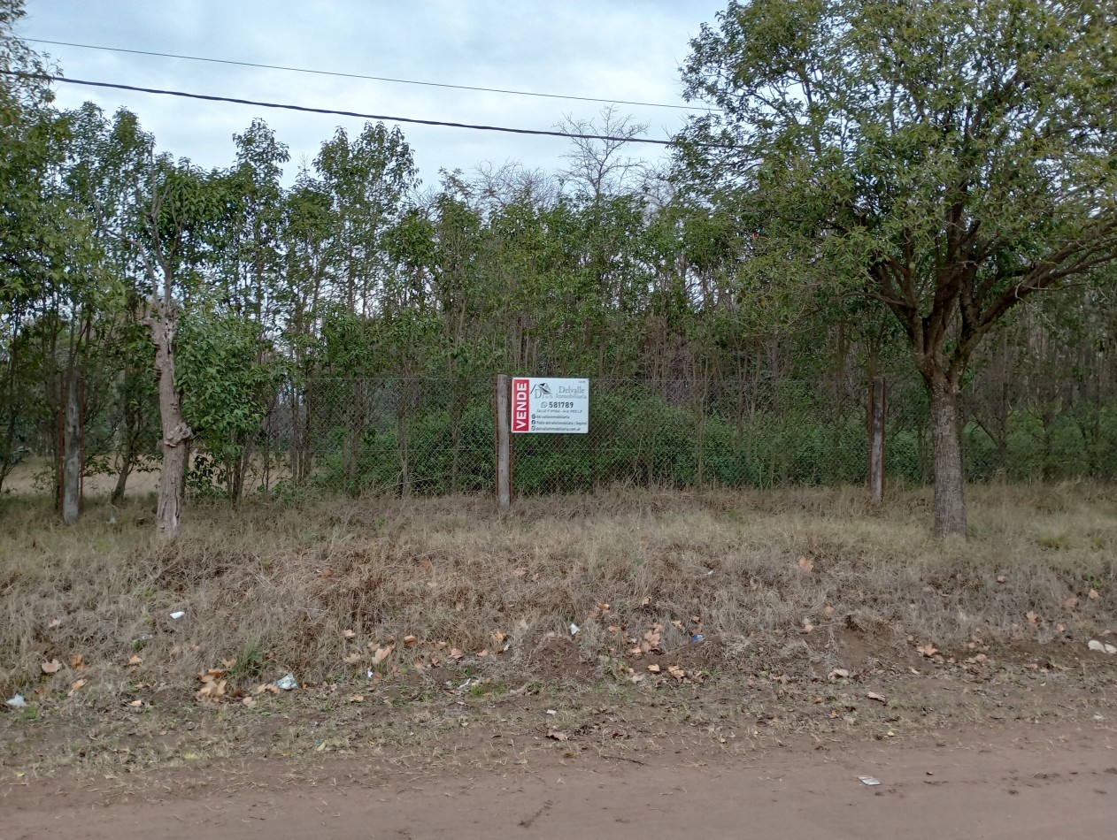 Lotes en venta en Dorila